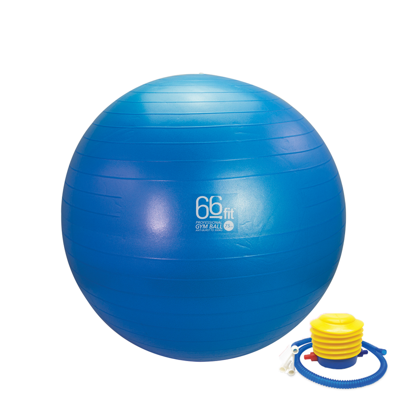 66fit Exercise Gym Balls
