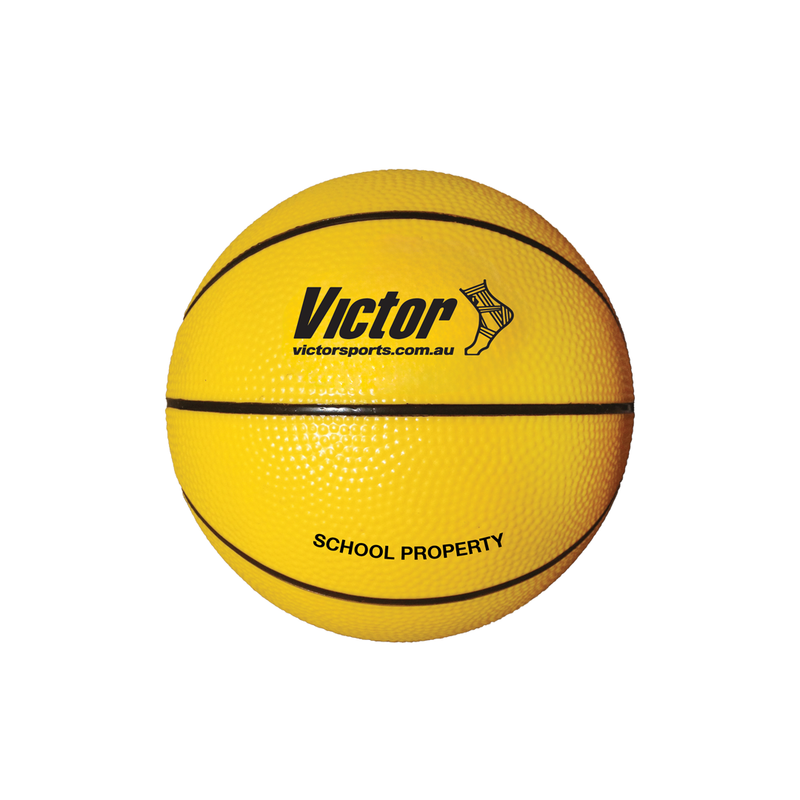 Victor Vinyl School Basketball